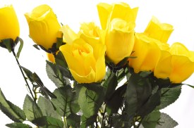 Rosa individual 10 varas AMARILLA lisa (2).jpg